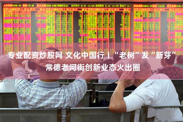 专业配资炒股网 文化中国行丨“老树”发“新芽” 常德老河街创新业态火出圈